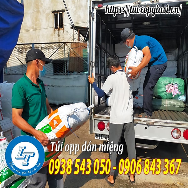Giao túi opp tphcm