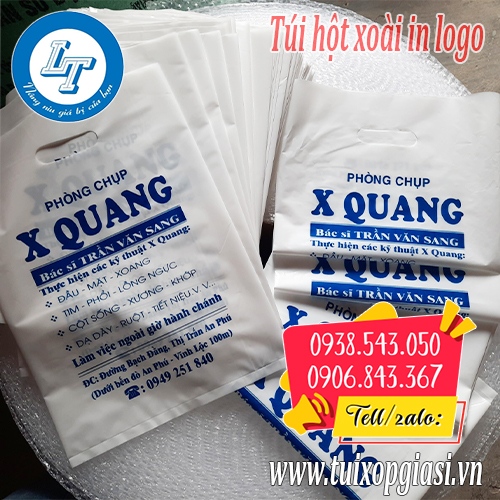 In logo lên túi hột xoài