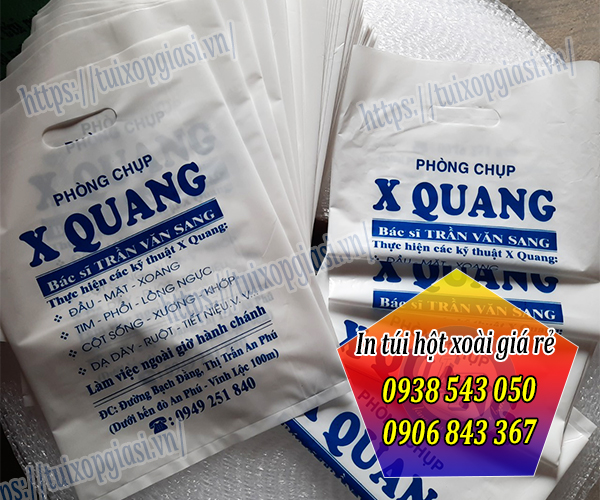 In túi hột xoài giá rẻ