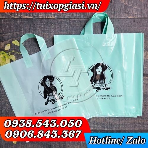 Túi hột xoài quai ép in hình