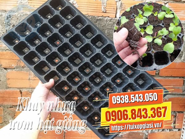 Khay nhựa ươm hạt giống giá rẻ