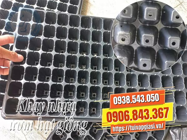 Khay nhựa ươm hạt giống giá rẻ