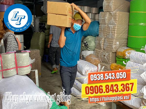 Khay nhựa ươm hạt giống giá rẻ uy tín