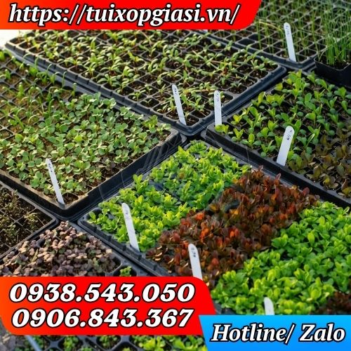 Khay ươm hạt giống 200 lỗ