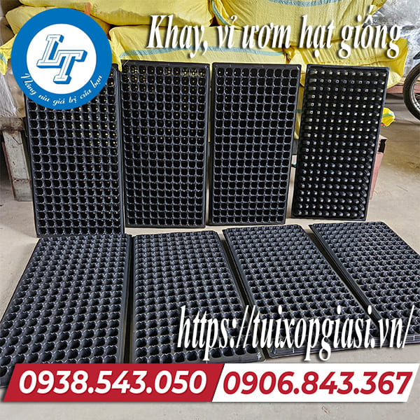 Khay, vỉ ươm hạt giống giá rẻ nhất TPHCM