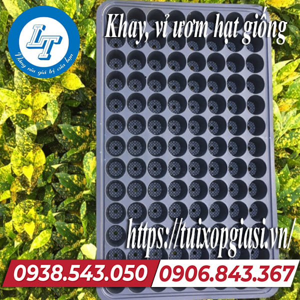 Khay, vỉ ươm hạt giống giá rẻ nhất tphcm