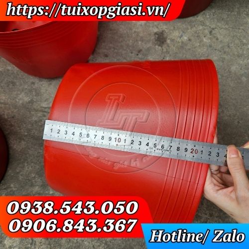 Chiều cao chậu 22cm