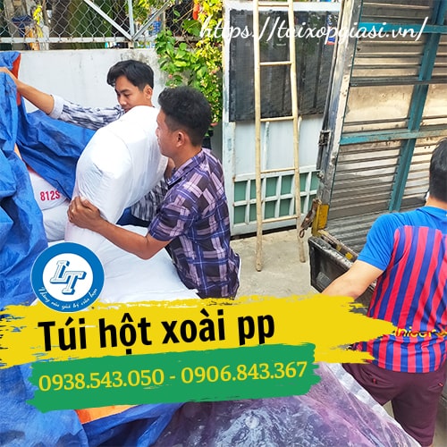 Kho sỉ túi hột xoài pp