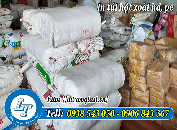 Kho túi hột xoài