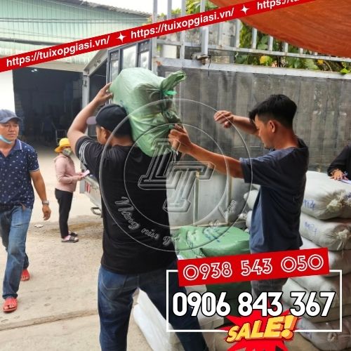 Lên chậu nhựa dẻo màu đen cho khách