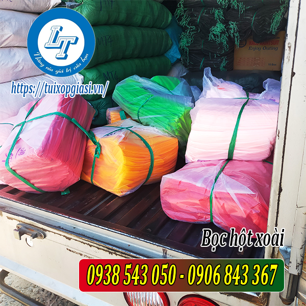 Lên hàng bọc hột xoài cho khách