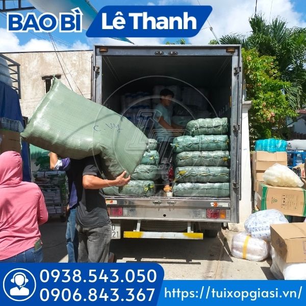 Lên hàng chậu nhựa ươm cây