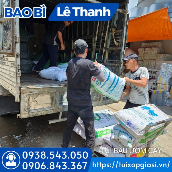 Lên hàng túi bầu ươm cây cho khách sỉ