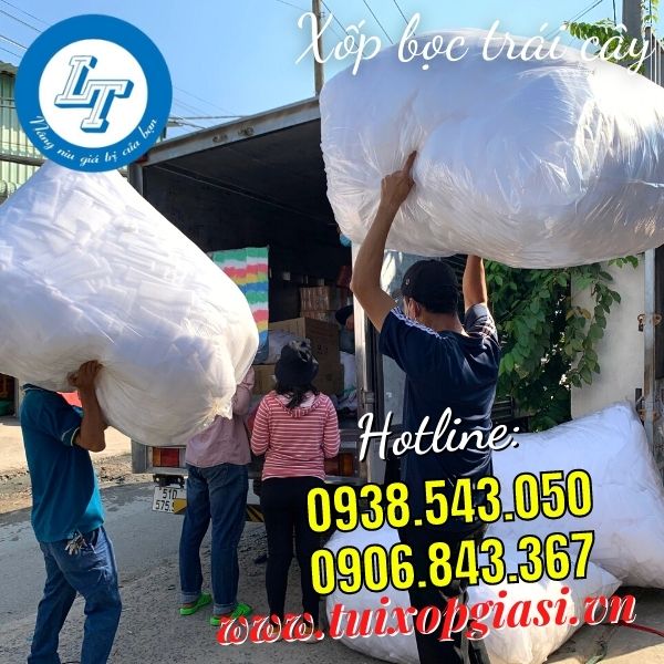 Lên hàng xốp bọc trái cây