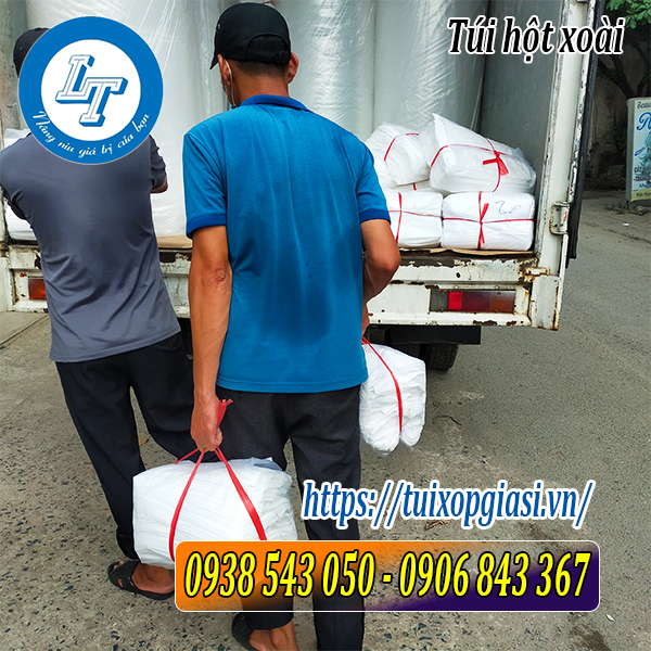 Lên túi hột xoài cục 10kg cho khách lẻ