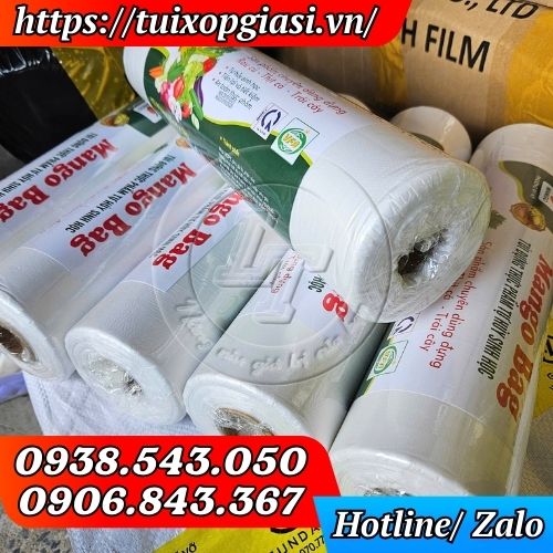 Túi xé siêu thị đựng thực phẩm