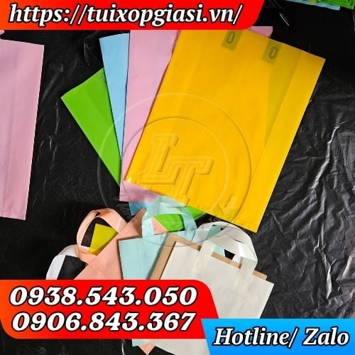 Túi hột xoài quai ép