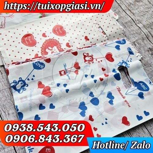 Túi hột xoài HD hoạ tiết