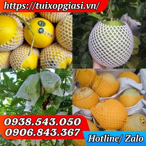 Xốp bọc trái cây chống dập, đẹp mắt