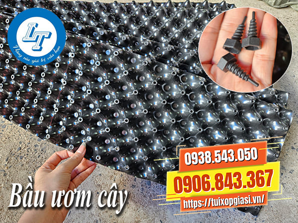 Nhà cung cấp bầu ươm cây giá rẻ