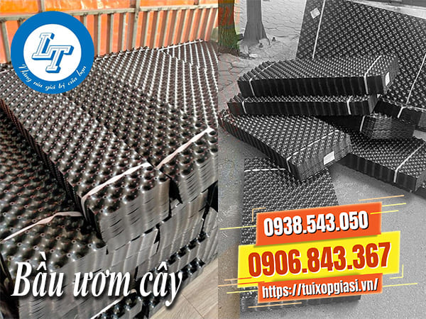 Nhà cung cấp bầu ươm cây giá rẻ