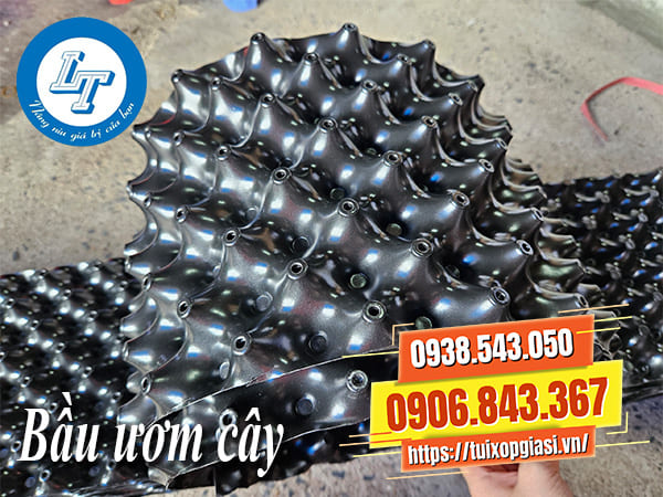 Nhà cung cấp bầu ươm cây giá rẻ