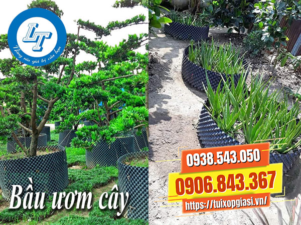 Nhà cung cấp bầu ươm cây giá rẻ