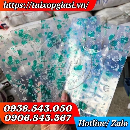 Túi hột xoài in hoa văn