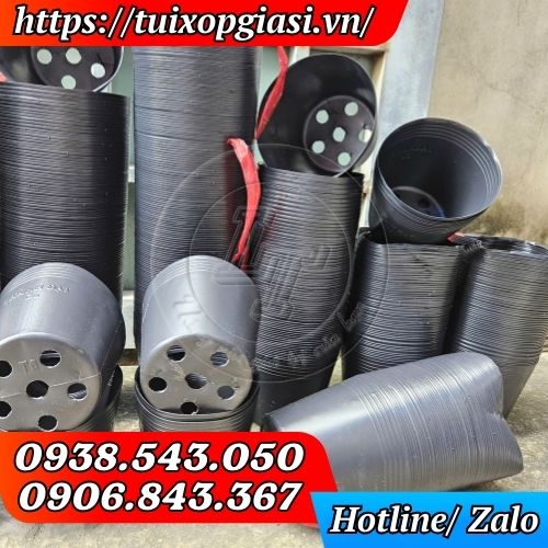 Sỉ chậu nhựa dẻo C6 màu đen bao 1000 cái giá tốt