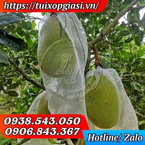 Túi lưới cước bao trái mít chống côn trùng