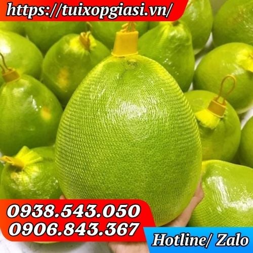 Túi lưới đựng bưởi