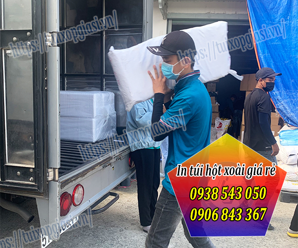 Sỉ túi hột xoài cho khách tỉnh