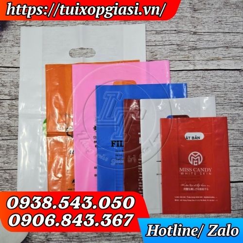 Túi hột xoài in ấn sắc nét