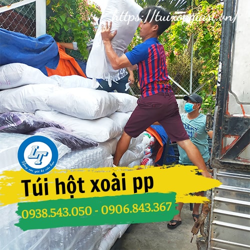 Sỉ túi hột xoài pp giá rẻ