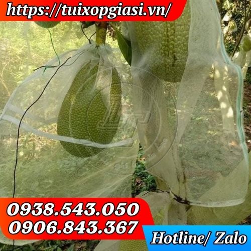 Túi lưới trùm mít hạn chế sâu bệnh