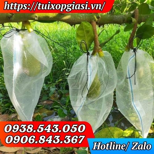 Túi lưới trù mít giúp tăng năng suất trái