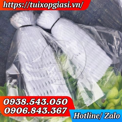 Xốp bọc ổi lồng sẵn