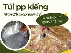 Túi pp kiếng là gì? công dụng và địa chỉ bán