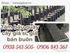 TẤM BẦU QUÂY CÂY giá sỉ, giá bán buôn