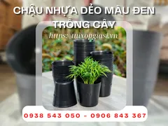 BÁN CHẬU NHỰA DẺO MÀU ĐEN TRỒNG CÂY GIÁ SỈ