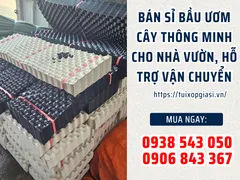 Bán sỉ bầu ươm cây thông minh cho nhà vườn, hỗ trợ vận chuyển