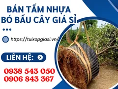 BÁN TẤM NHỰA BÓ BẦU CÂY GIÁ SỈ