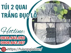 Bán túi 2 quai trắng đục lỗ giá sỉ tại Tiền Giang