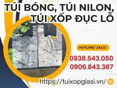 Bán túi bóng, túi nilon, túi xốp đục lỗ giá rẻ