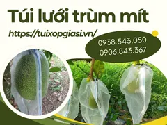 BÁN TÚI LƯỚI TRÙM MÍT 50X70 GIÁ SỈ