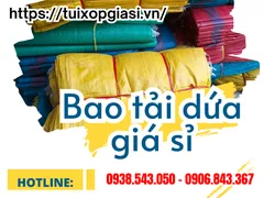 BAO TẢI DỨA giá sỉ giá bán buôn