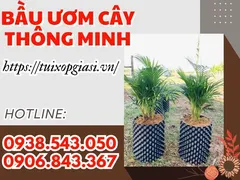 Bầu ươm cây thông minh giá rẻ chất lượng