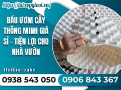 Bầu ươm cây thông minh giá sỉ – tiện lợi cho nhà vườn