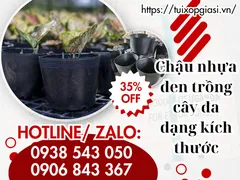 Bỏ sỉ chậu nhựa đen trồng cây đa dạng kích thước
