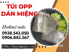 Bỏ sỉ cục 10kg túi opp dán miệng size nhỏ giá rẻ
